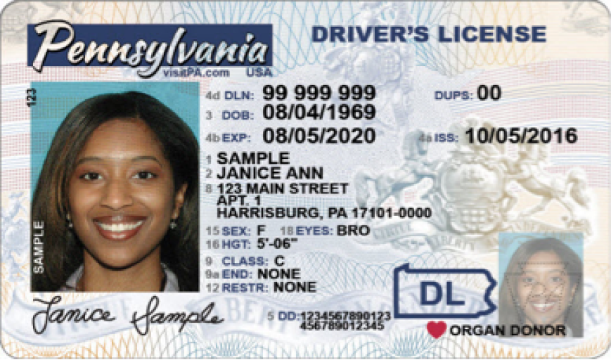 Government ID Card Example